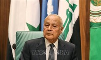 Le cessez-le-feu en Libye menacé, avertit le chef de la Ligue arabe