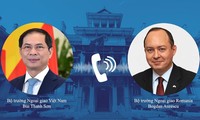 Conversation téléphonique entre Bui Thanh Son et son homologue roumain