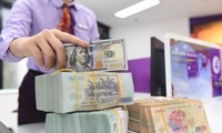 La réserve en devises étrangères du Vietnam établit un record de 110 milliards de dollars