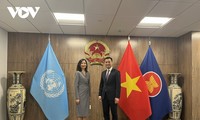 Pauline Tamesis rencontre le représentant en chef du Vietnam auprès de l’ONU
