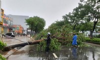 Typhon Noru: le Centre frappé par les pluies diluviennes