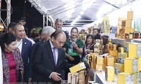 Nguyên Xuân Phuc veut revaloriser le ginseng vietnamien