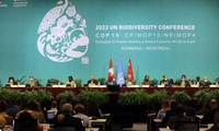 COP15 biodiversité: les ministres négocient le financement d’un «pacte pour la nature» pour sortir de l’impasse