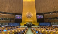 Le Vietnam partage son expérience et son soutien à l’AIEA à l’ONU