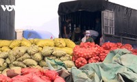 Nouveaux records en vue pour les exportations de fruits et légumes