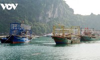 Valoriser le rôle des collectivités locales dans la lutte contre la pêche INN
