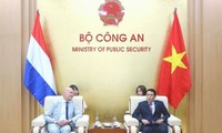 Vietnam-Pays-Bas: coopération dans la mise en œuvre de la Convention contre la torture