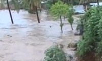 Вьетнам оказывает гуманитарную помощь жертвам наводнения в Мозамбике