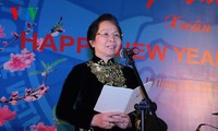 Во Вьетнаме прошла новогодняя встреча с представителями иностранного дипкорпуса