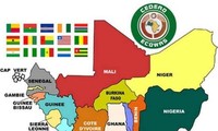 Саммит лидеров стран Африки по борьбе с экстремистской группировкой «Боко Харам»