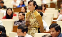 Депутаты Вьетнамского парламента обсудили исполнение госбюджета в 2013 году