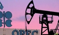 ОПЕК решила оставить квоту на добычу нефти 