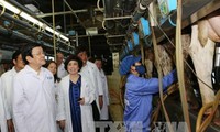 Президент СРВ Чыонг Тан Шанг побывал в провинции Нгеан с рабочим визитом