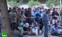Cтраны ЕС примут беженцев