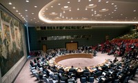 Япония желает активизировать реформы в Совете безопасности ООН