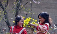 Музыкальный спектакль для детей народности Монг в провинции Хазянг