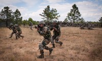 Индия и Индонезия запланировали провести совместные военные учения