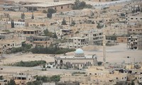 Асад высоко оценил армию страны за взятие под контроль города Пальмира