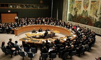 Совет безопасности ООН отменил консультации по Сирии