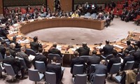 Созвано экстренное заседание СБ ООН из-за авиаударов коалиции по сирийским войскам