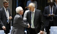 Совет безопасности ООН провел заседание по Сирии