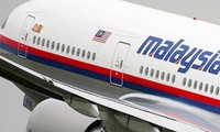 МИД РФ вызвал посла Нидерландов по поводу расследования самолета MH17 