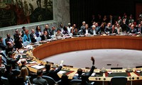 Совбез ООН опроверг проекты резолюций Франции и России по Сирии