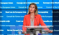 ЕС не планирует вводить санкции против РФ из-за Сирии