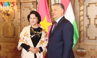 Нгуен Тхи Ким Нган завершила официальный визит в Венгрию
