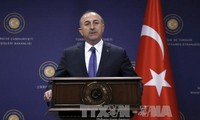 Россия и Турция согласились с необходимостью расследовать химатаку в Сирии
