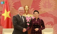 Нгуен Тхи Ким Нган приняла послов Австралии и Новой Зеландии во Вьетнаме