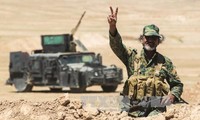 Правительственные силы Ирака освободили от ИГ древний город Хатра на севере страны