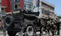 Силы безопасности Саудовской Аравии и Афганистана заявили об уничтожении десятков террористов 