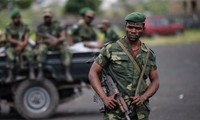 Более 40 человек убиты повстанцами СДС на востоке ДРК 