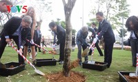 В городе Дананге открылся парк АТЭС