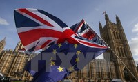 Британцы недовольны подходом правительства к решению «Брексита»