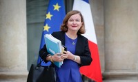 Во Франции подготовили законопроект на случай отсутствия соглашения между Лондоном и Брюсселем 