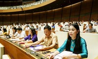 Нацсобрание СРВ приняло постановление о надзорной программе парламента на 2020 год