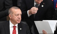 Турция и США будут совместно создавать зону безопасности в Сирии