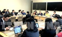 Глава вьетнамской миссии председательствовала на заседании координационного совета АСЕАН по работе ВТО в Швейцарии