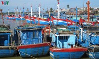 Куангнгай: рыбаки активно завершают установку системы мониторинга своих судов