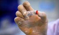 Австралия первой в мире опубликовала данные исследования вакцины от коронавируса по международным стандартам