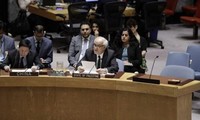 Палестина готовит международную конференцию по мирному урегулированию на Ближнем Востоке
