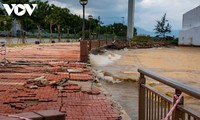 Обновление информации о ситуации с тайфуном Молаве