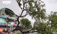 Тайфун Молаве обрушился на центральную часть Вьетнама
