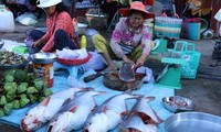Минсельхоз Камбоджи отменил запрет на импорт рыбы из Вьетнама
