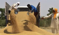 ООН и МВФ призывают к скорейшему разрешению глобального продовольственного кризиса