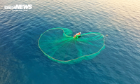 Mê mẩn mẻ lưới vẽ ‘trái tim của biển’ ở đảo Hòn Yến, Phú Yên