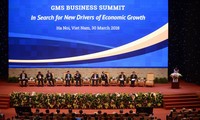 GMS6-CLV10회의:각국 경험과 새로운 성장 동력 개발