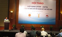 환태평양경제동반자협정 (CPTPP) 및 베트남 – EU 자유무역협정 (EVFTA)의 베트남 섬유 의류에 대한 영향